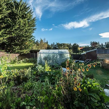 Mount Thomas Road B&B Rangiora Kültér fotó