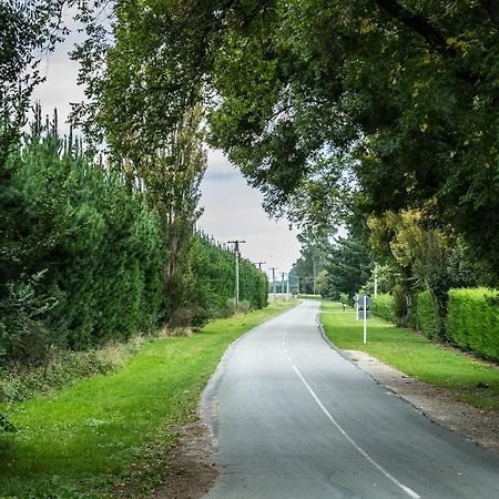 Mount Thomas Road B&B Rangiora Kültér fotó