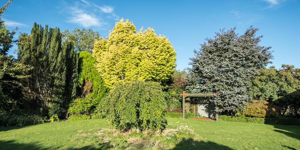 Mount Thomas Road B&B Rangiora Kültér fotó