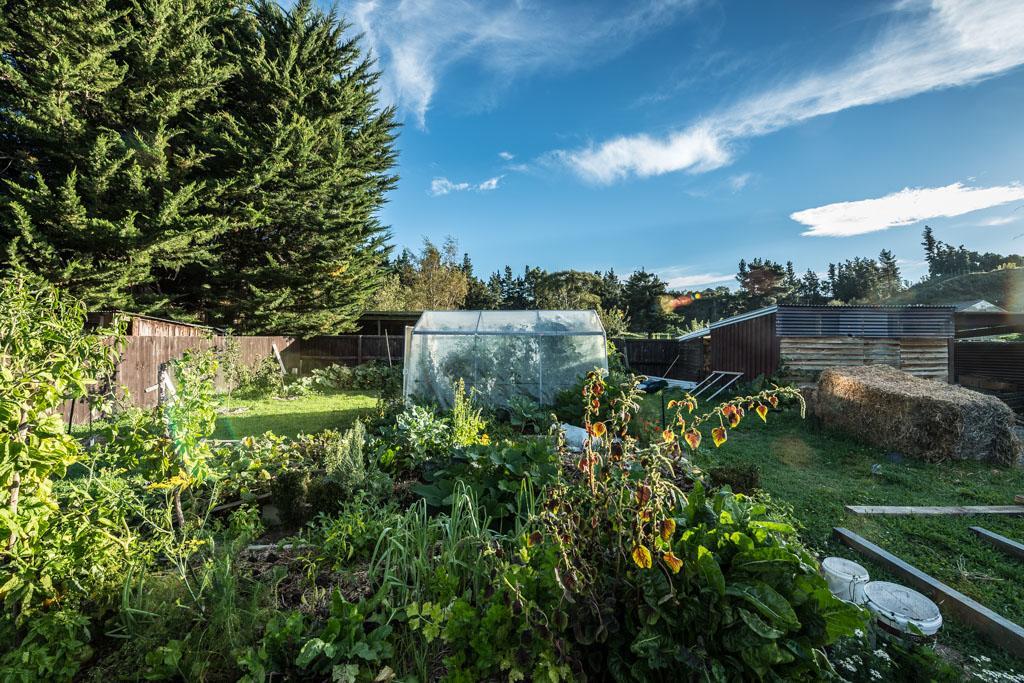 Mount Thomas Road B&B Rangiora Kültér fotó