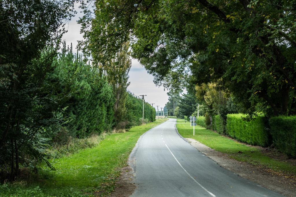 Mount Thomas Road B&B Rangiora Kültér fotó