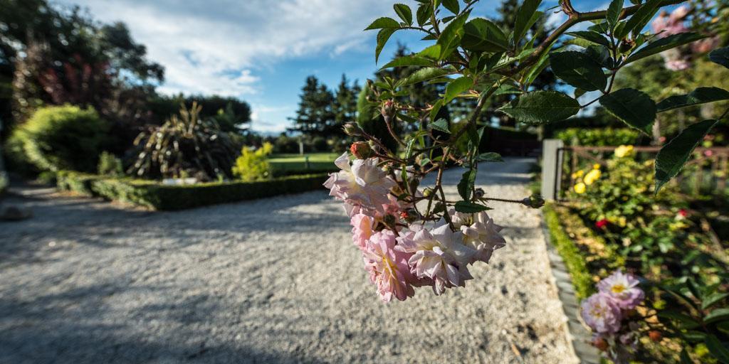 Mount Thomas Road B&B Rangiora Kültér fotó